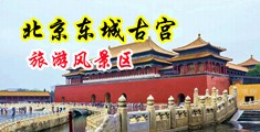 天美性爱双飞中国北京-东城古宫旅游风景区